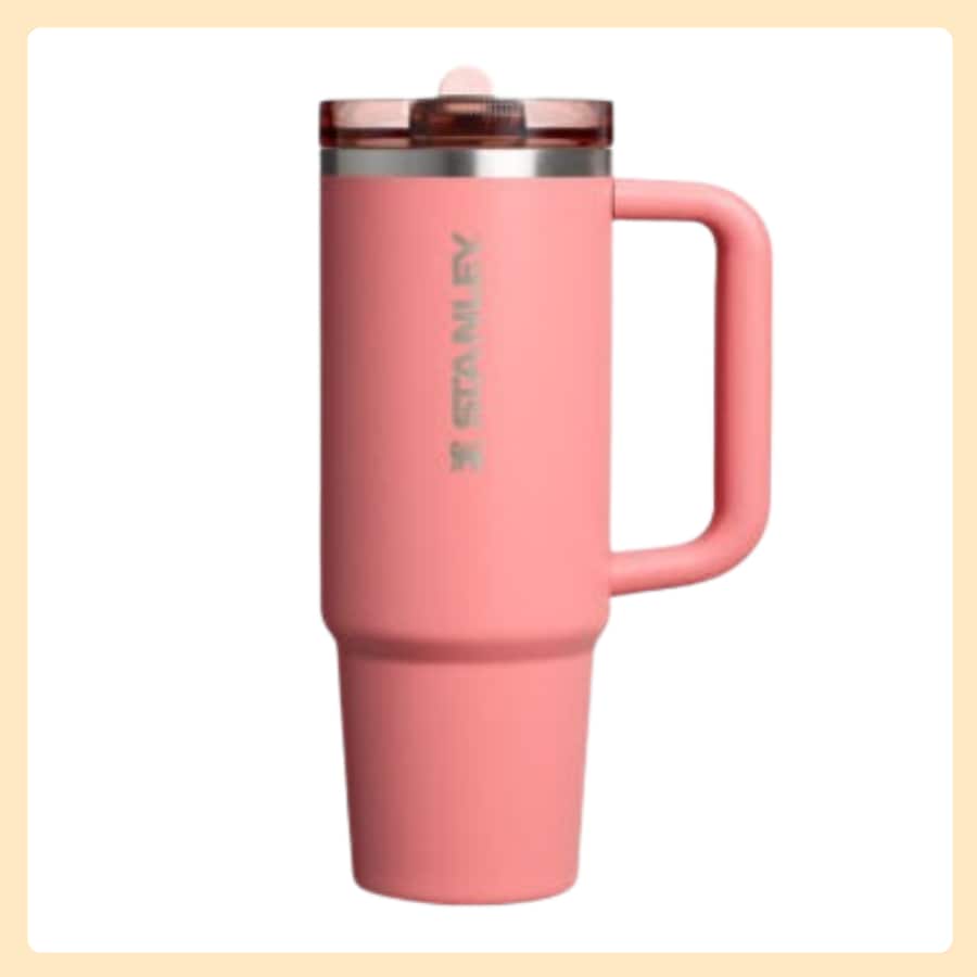 [正規品] クエンツァ プロツアー フリップ ストロー タンブラー 887ml (テラコッタ)