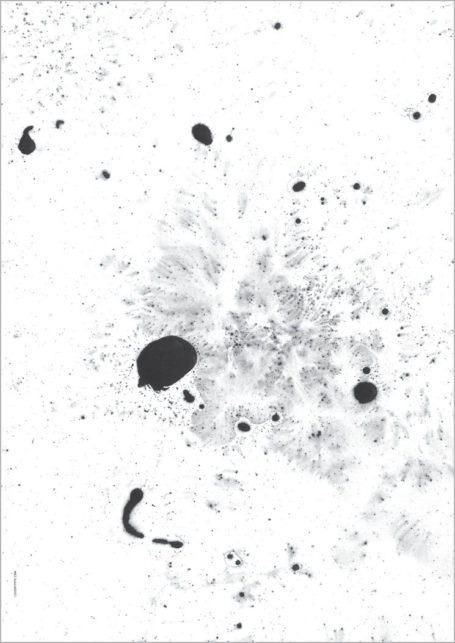 I LOVE MY TYPE CHAMPAGNE (white)