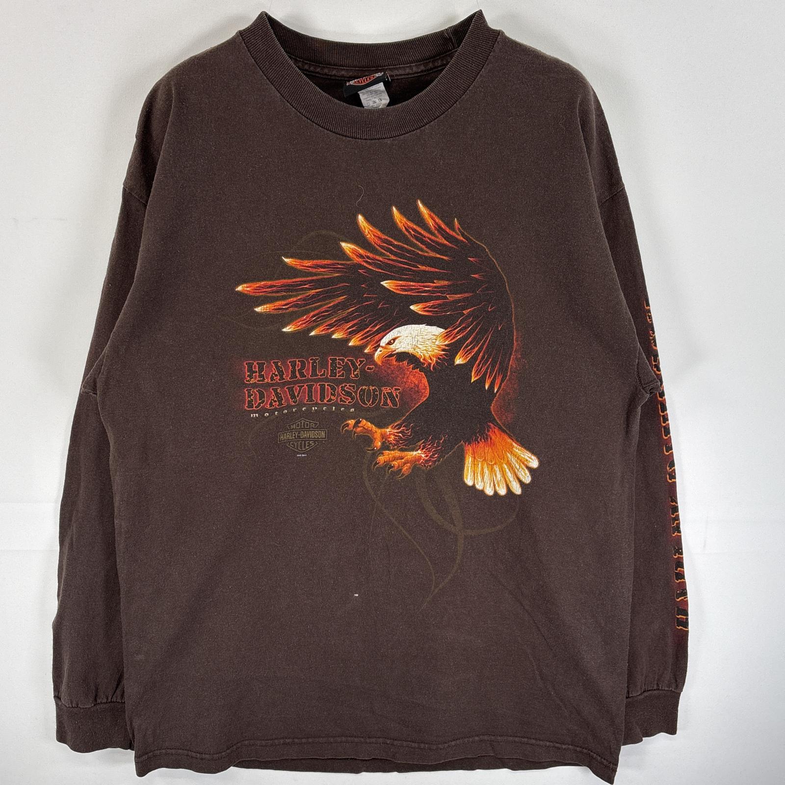 古着 長袖Tシャツ 両面 ラバープリント 鷹 袖 ロゴプリント LARGE ブラウン系 メンズ