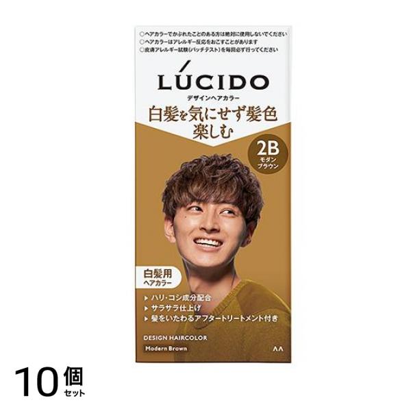 LUCIDO(ルシード) デザインヘアカラー 2B モダンブラウン 1組入 10個セット