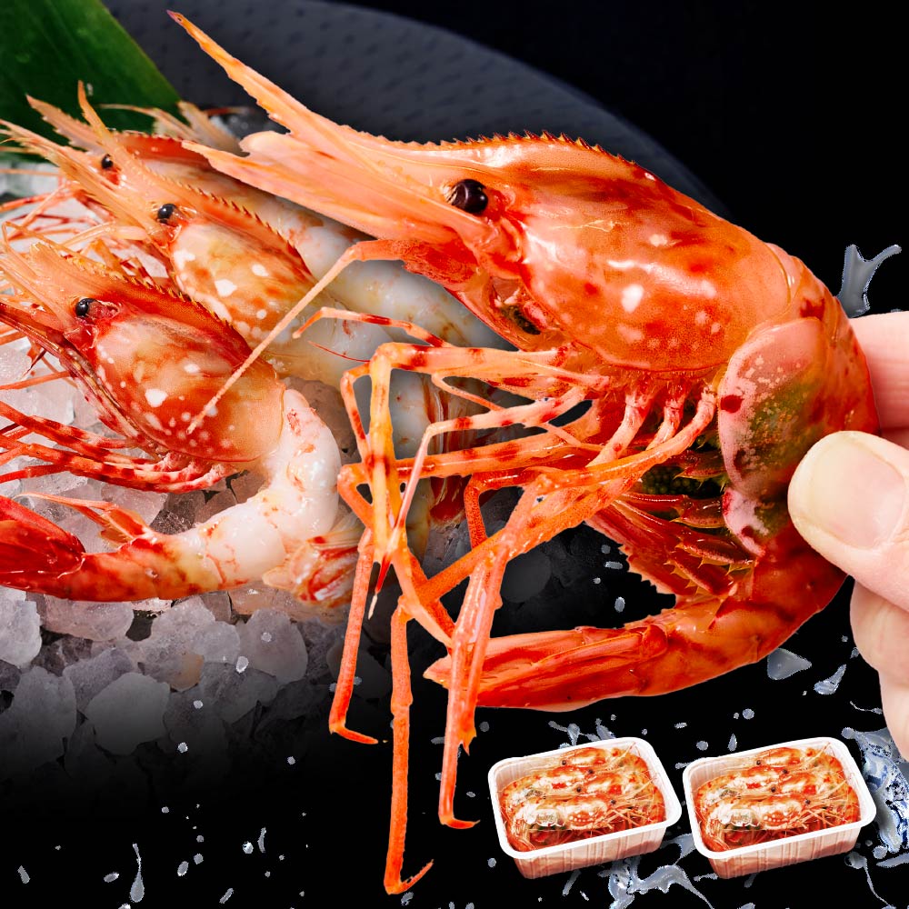 ボタンエビ 特大 2L 1kg（500g × 2個）セット 刺身用 北海道 牡丹海老 子持ち ぼたんえび ボタン海老 ボタンえび 刺身 海老 【冷凍】