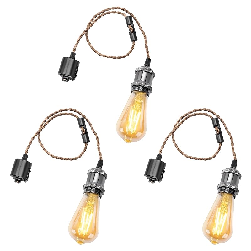 DiCUNO ペンダントライト E26口金 LED電球付き エジソン電球 ダクトレール用 １灯用ペンダントソケット ブラック 電球ソケット 天井照明 吊り下げ コード付き 70cm調節可 レトロ アン