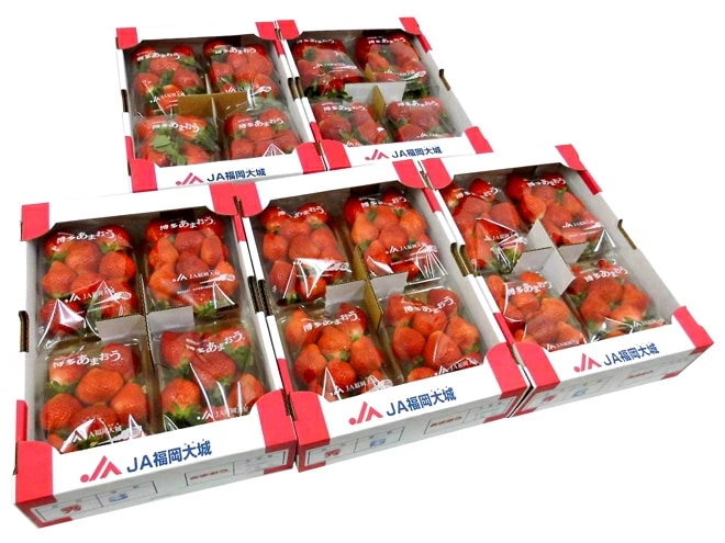 福岡産 博多 =あまおういちご= 訳あり 約270g x4パック x5箱 予約 1月以降 11,100円