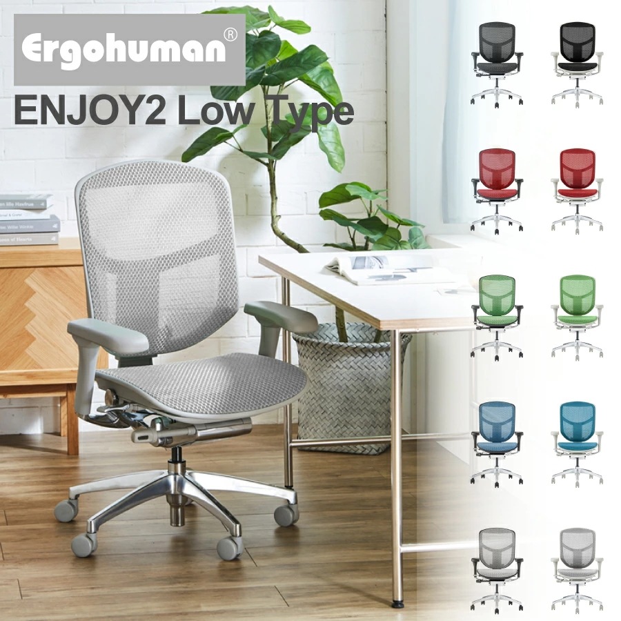 【5年保証】公式販売店 エルゴヒューマン2(ergohuman2) オフィスチェア ヘッドレスト付き エンジョイ ロータイプ ブラックフレーム:EJ2-LAM-BF グレーフレーム:EJ2-L