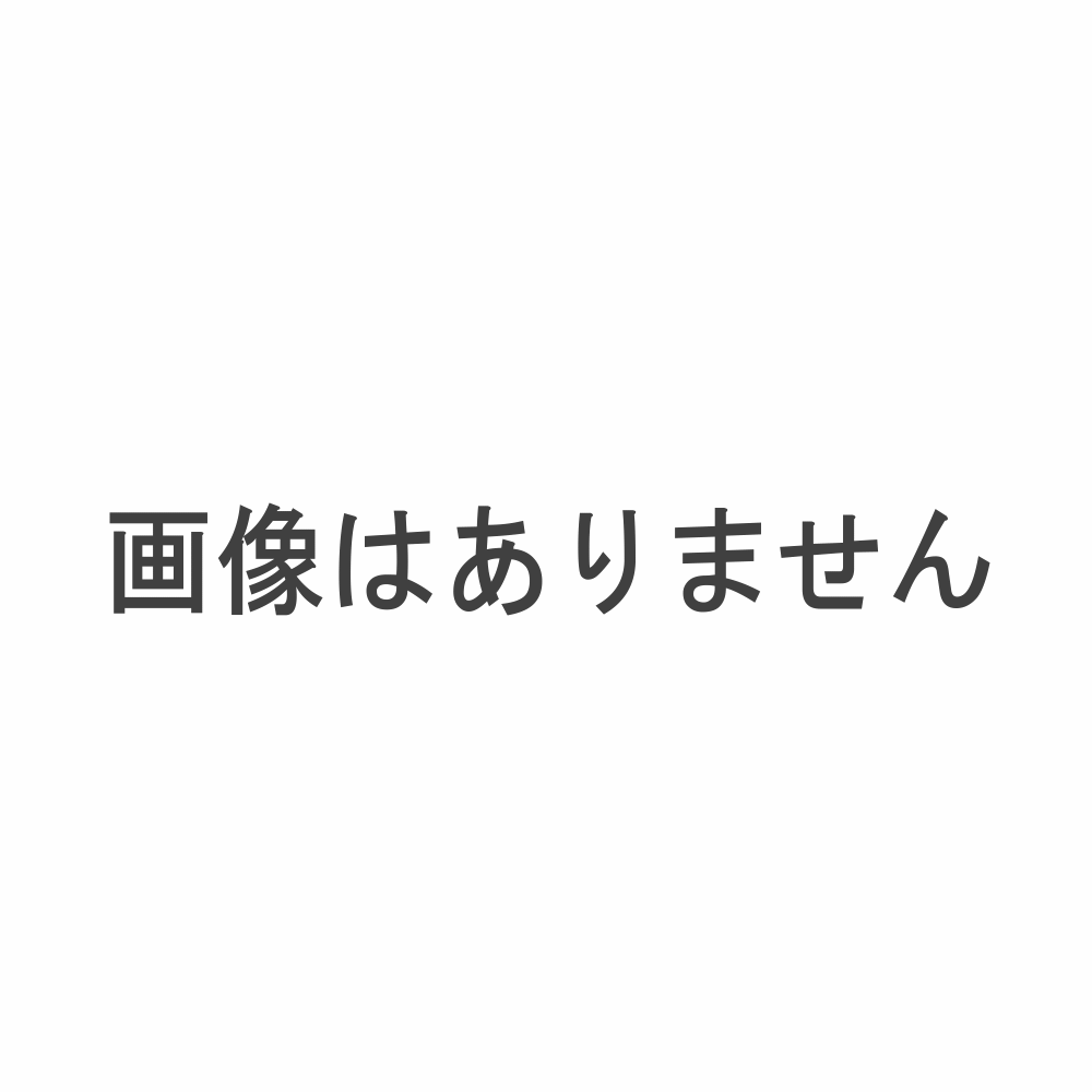 ナカバヤシ　トジスター　ドリル　Ｎ付　ＮＢＰ－３Ｎ