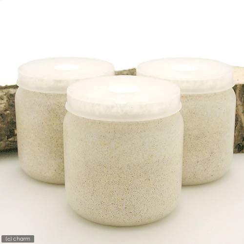 菌糸ビン　ＸＬ－ＰＯＴ　ヒラタケ　１４００ｃｃ　５本　ＣＲＣ18―35―40―10―10