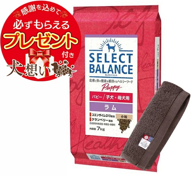 【プレゼント付】セレクトバランス パピー ラム 小粒 子犬母犬用 7kg【犬想いオリジナル今治ハンドタオルセット】【タオルカラー モカ】【正規品】
