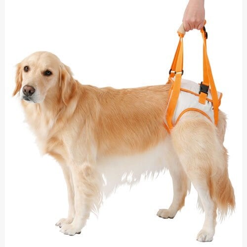 zuttone ずっとね 老犬介護 歩行補助ハーネス 後足用K 3L 胴輪 ハーネス 大型犬 介護期