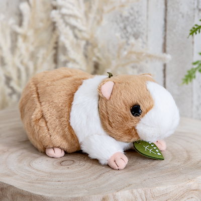 ぬいぐるみ potte モルモット ヌイグルミ 動物 小動物...のサムネイル