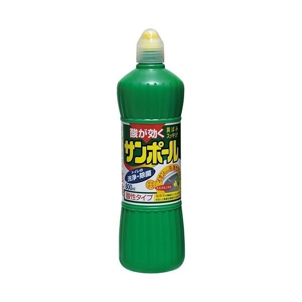 （まとめ） 大日本除蟲菊 サンポール 800ml[x10セット]