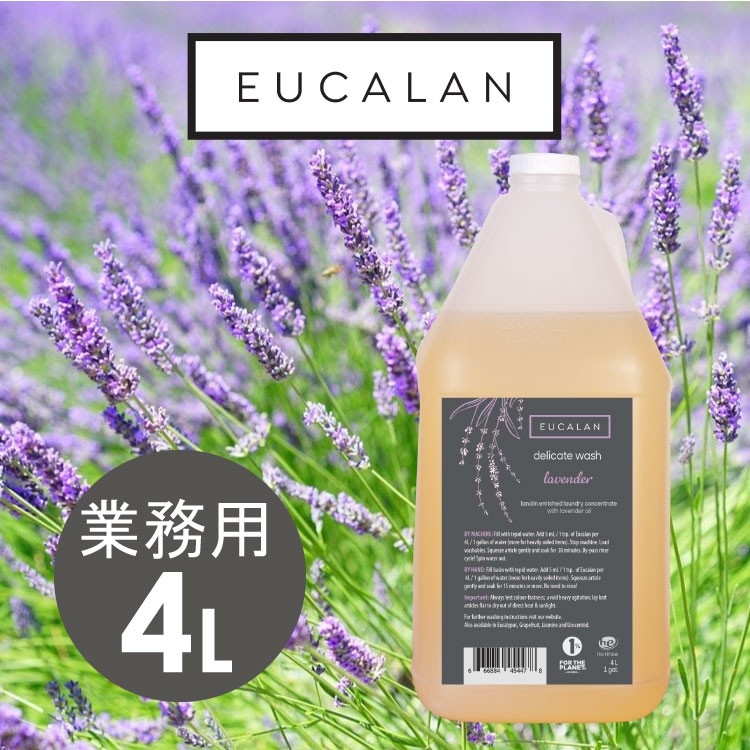ラベンダー 大容量4L すすぎ不要 エコ洗濯洗剤 デリケート衣類 下着 オシャレ着洗い