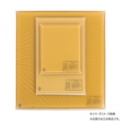 アクション・ジャパン 平状アクションパッド 小 40402