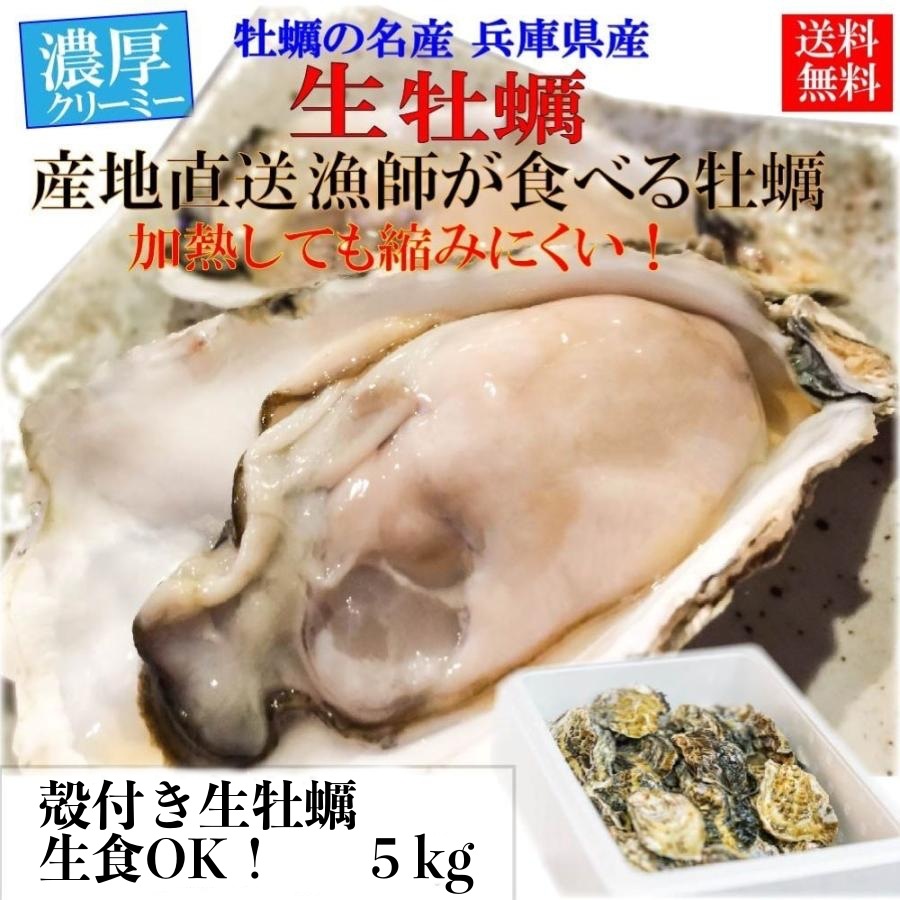 生 牡蠣 活きカキ かき 貝 かい 新物 殻付き 真牡蠣 瀬戸内産 5キロ 産地直送 加熱用