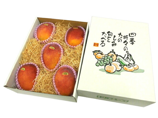 =沖縄産 完熟マンゴー= 秀品 特大玉4L 5玉 化粧箱 沖縄マンゴー 予約 7月以降