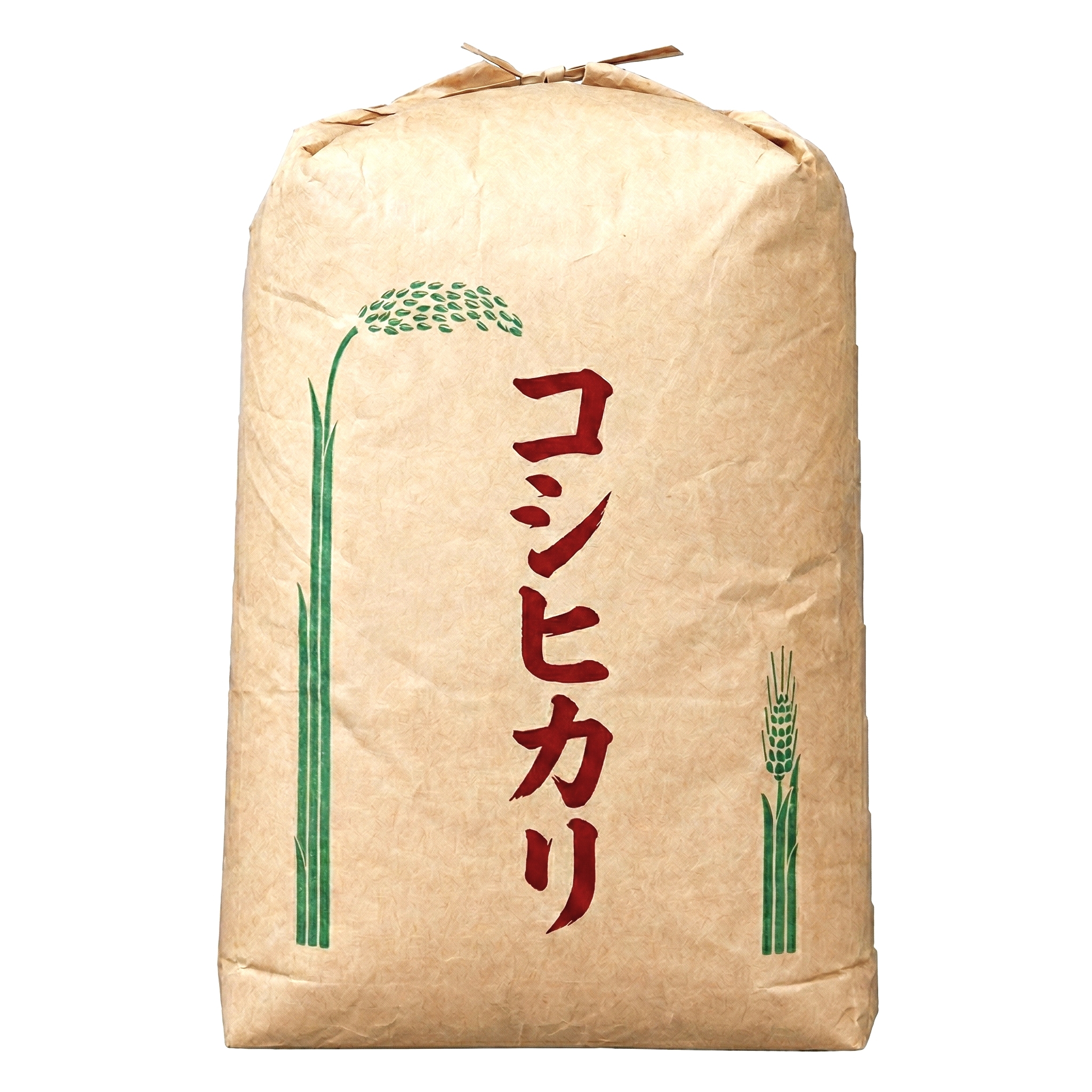 数量限定　【コシヒカリ玄米30kg】 新米 令和7年度 埼玉県産 コシヒカリ 玄米 30kg (30kg1袋) 未検査米 大粒米 タグ：#コシヒカリ #あきたこまち