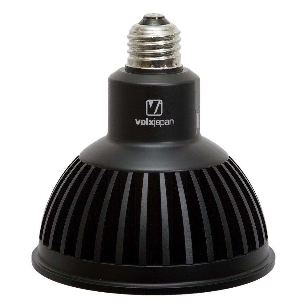 ボルクスジャパン　Ｇｒａｓｓｙ　ＬｅＤｉｏ　ＲＸ１２２ｓ　Ｃｏｒａｌ　Ｂ／コーラル　黒　ＣＲＣ10―35―70―10―00