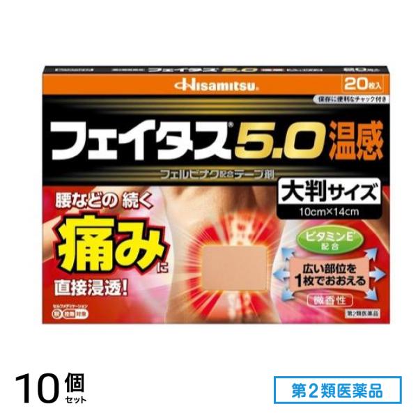 第２類医薬品 5.0温感 大判サイズ 10cm×14cm 20枚入 10個セット