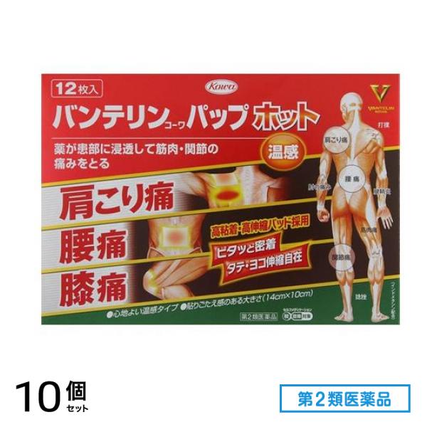 第２類医薬品 バンテリンコーワパップホット 12枚 10個セット