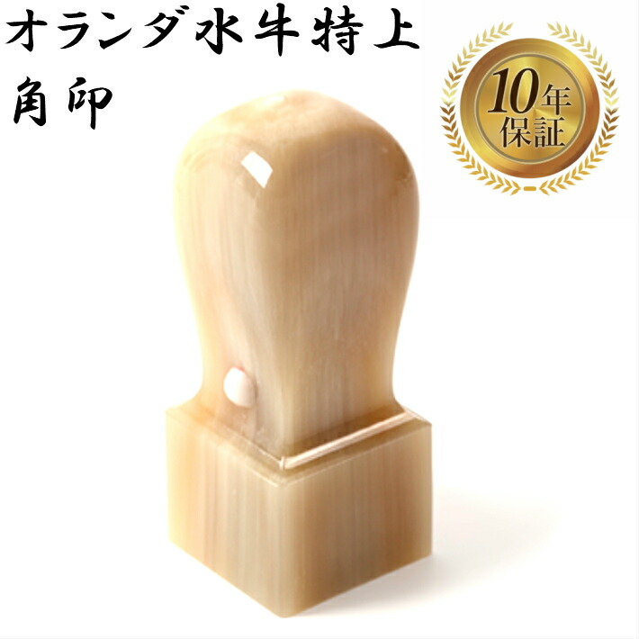 角印 法人印鑑 会社印 オランダ水牛 特上 天角 21mm はんこ ハンコ 印鑑 即日発送