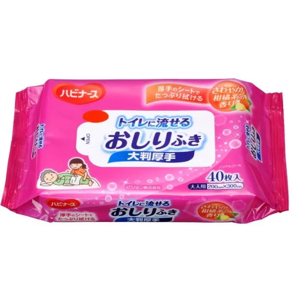 お尻拭き ハビナース トイレに流せる おしりふき 大判厚手 ノンアルコール 40枚入x24セット まとめ買い ケース販売