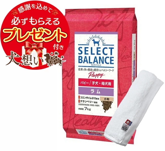 Select Balance 【プレゼント付】セレクトバランス パピー ラム Select Balance 【プレゼント付】セレクトバランス パピー ラム