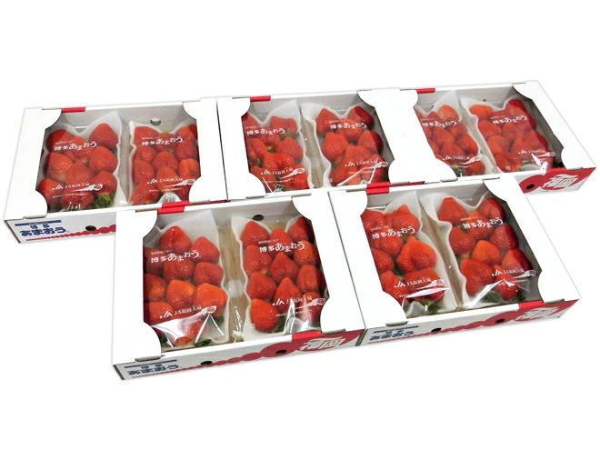 お届け日指定可能 福岡産 博多 =あまおういちご= 等級G（グランデ）5箱 10パック入り 約270gx10パック