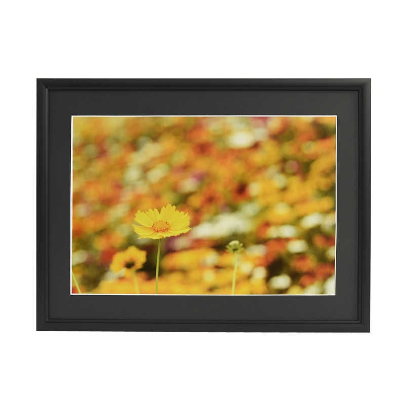 フジカラー　アルミ額縁 A33 A3ノビ ブラック　A33A3ノビブラック