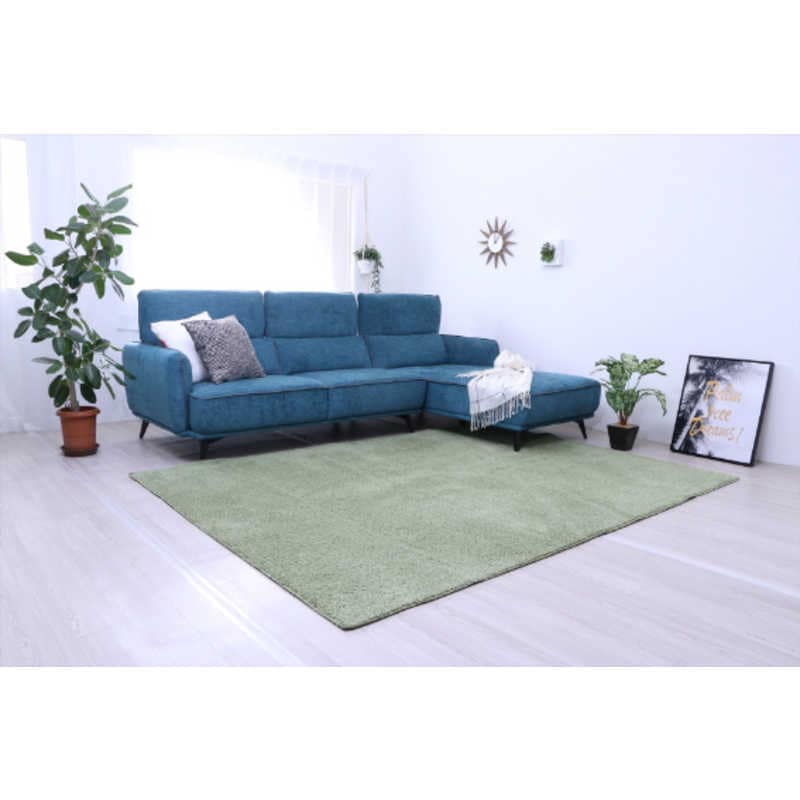 イケヒコ　タフト風ミックスパイルラグ プリーム (約200×250cm/グリーン)