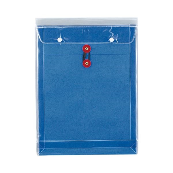 （まとめ） ピース マチヒモ付ビニール保存袋 レザック 角0 184g/m2 青 922 1枚 30セット