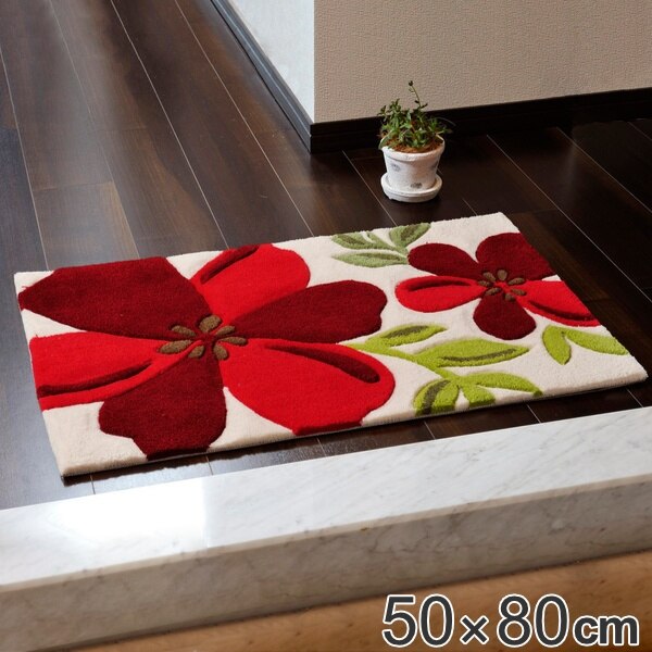 玄関マット 屋内用 アベル 50x80cm