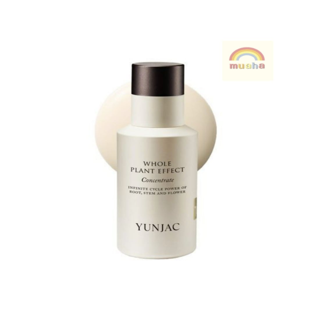 全草コンセントレート 40ml セラムエッセンス/ハリのある肌ベースを完成する