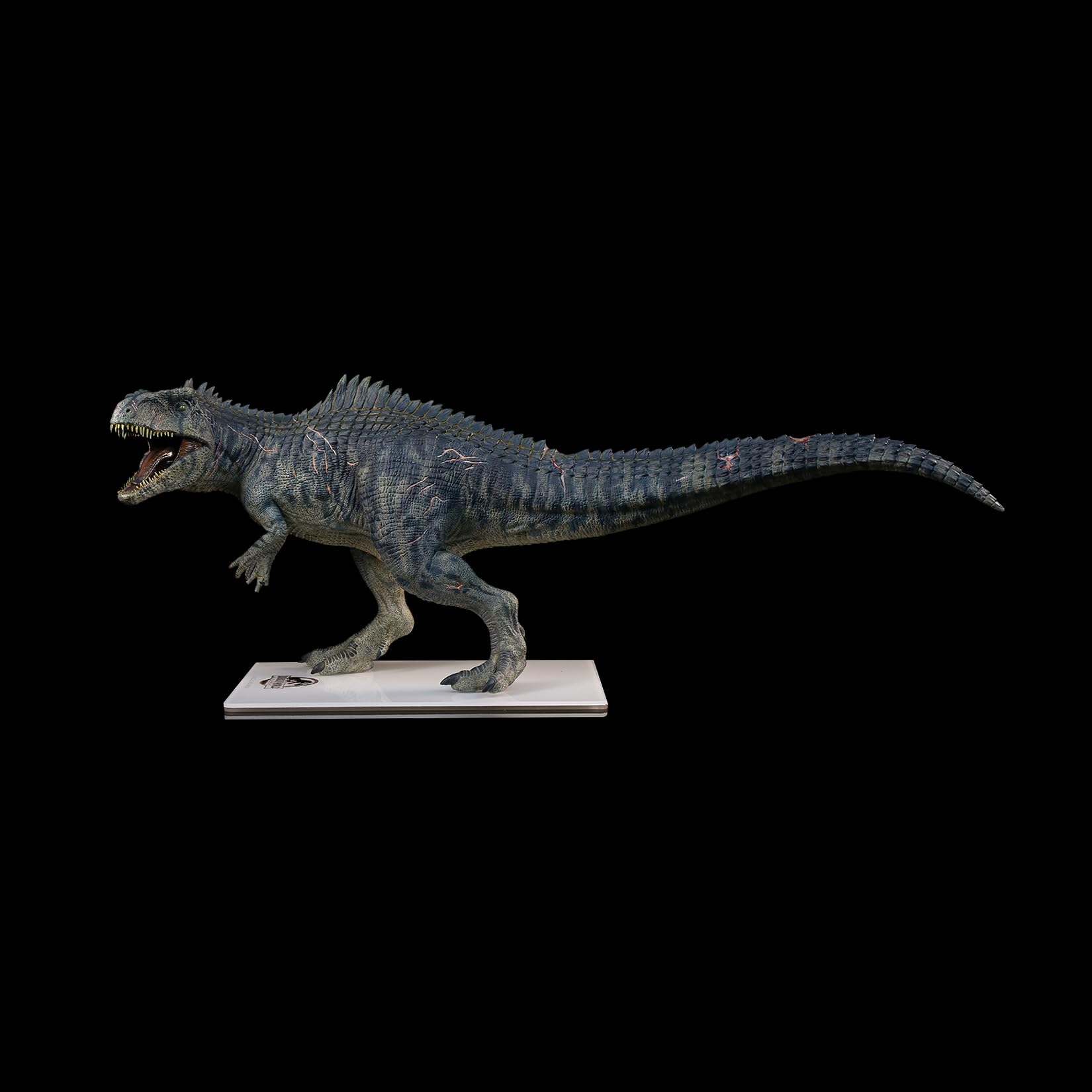 DINO DREAM 1/30 サイズ ギガノトサウルス 限定版 44.5cm級 カルカロドントサウルス科 PVC 樹脂 恐竜 大型 肉食 リアル フィギュア プラモデル 模型 プレゼント オリジナル