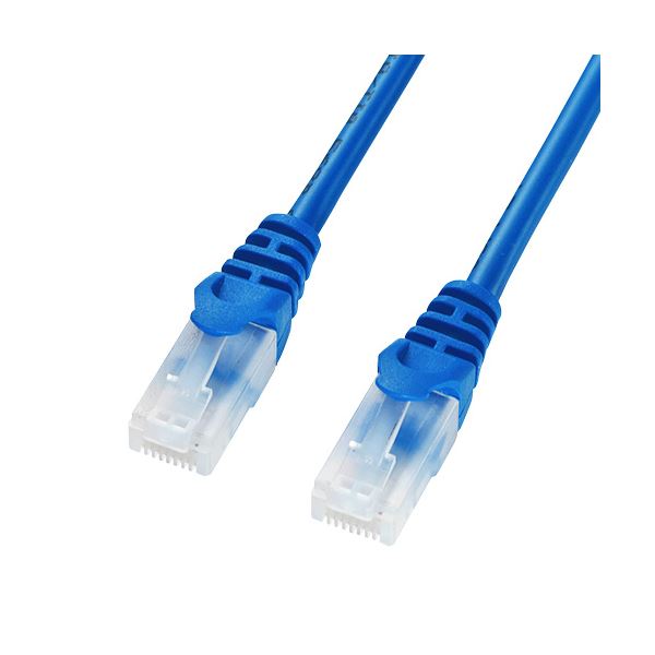 (まとめ)サンワサプライ ツメ折れ防止CAT5eLANケーブル LA-Y5TS-20BL(×2セット)