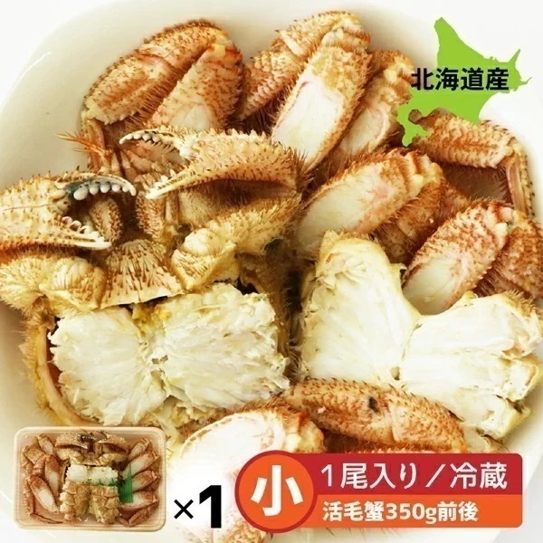 毛蟹 北海道産 毛ガニ 北海道 産 小 1尾 冷蔵便 350g前後(活毛蟹350g前後) 毛蟹 北海道産 けがに 毛がに 毛かに 毛カニ 蟹みそ保証 山崎水産【ym_rza】