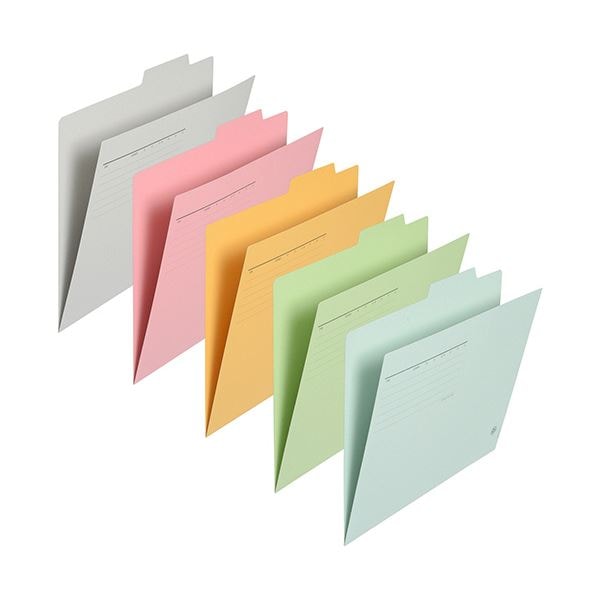 （まとめ）プラス 個別フォルダー A4 5色アソート FL-061IF-AP 1パック(10冊)(×10セット) 11,741円