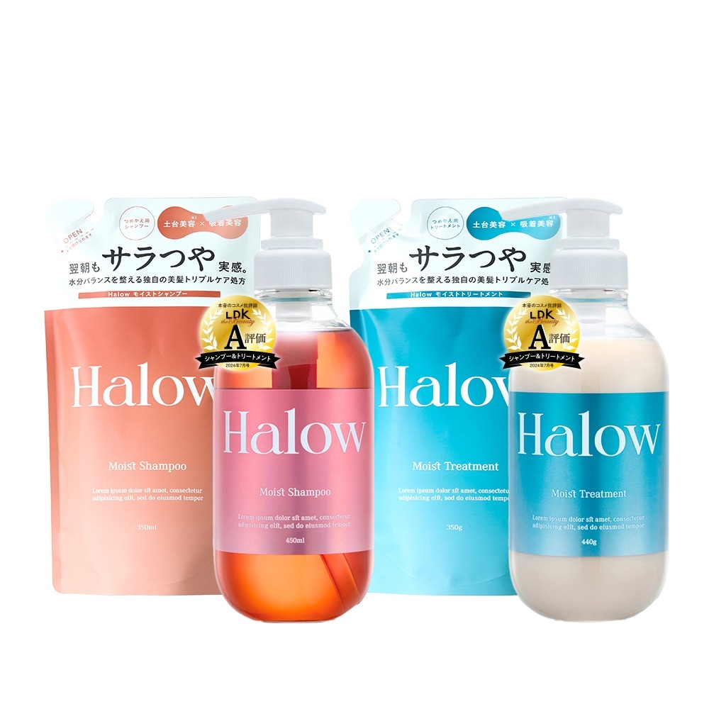 【計4点セット】モイストシャンプートリートメント 本体&詰め替え用 毛髪補修成分 ヘマチン 高濃度配合 ヒアロベール カラーパーマ長持ち うねり髪改善 頭皮のエイジングケア