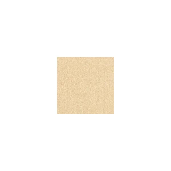 【1ケース】【お取り寄せ対象品】ウィズペットフロア WPF02(40×40cm) クリーム[東リ] *10個