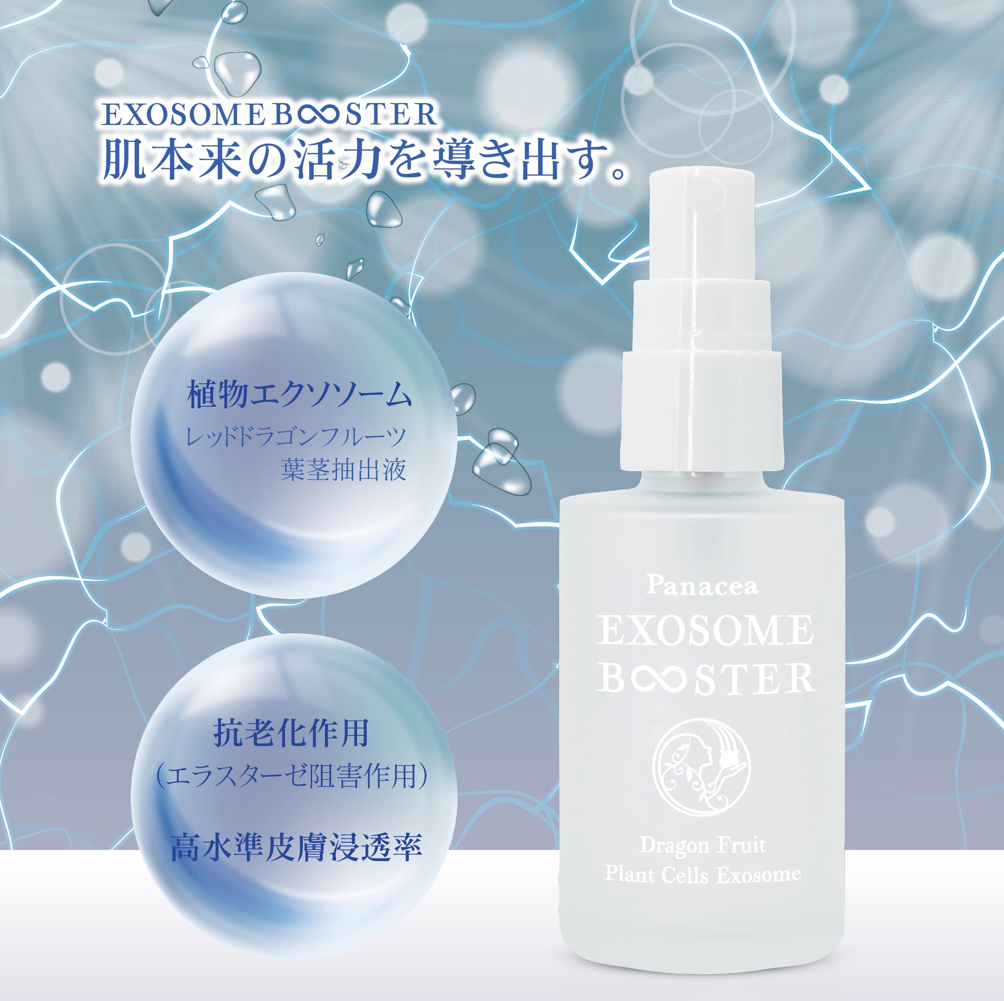 PANACEA EXOSOME BOOSTER　エクソソーム　ブースター（ハルキレシピ）