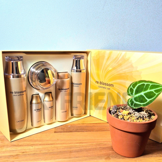 リブラサム基礎化粧品企画セット1セット 韓国コスメ 乾燥対策 化粧品セット ナチュラル成分 ハリツ ヤケア 肌のキメ整え