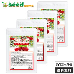 【大容量1年分サプリ】アセロラたっぷりビタミンC 約12ヵ月分 メール便送料無料
