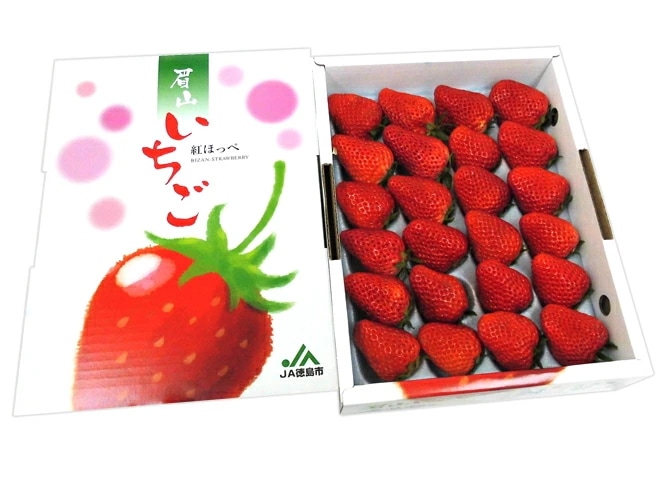 徳島県 =眉山産 紅ほっぺ= 大粒16-24粒 化粧箱 いちご 予約 12月以降