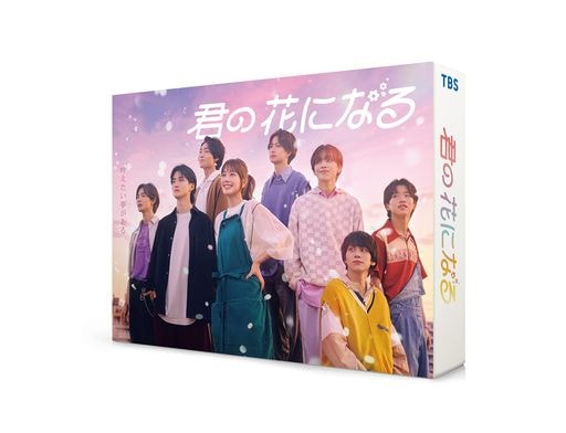 君の花になる DVD-BOX [DVD]