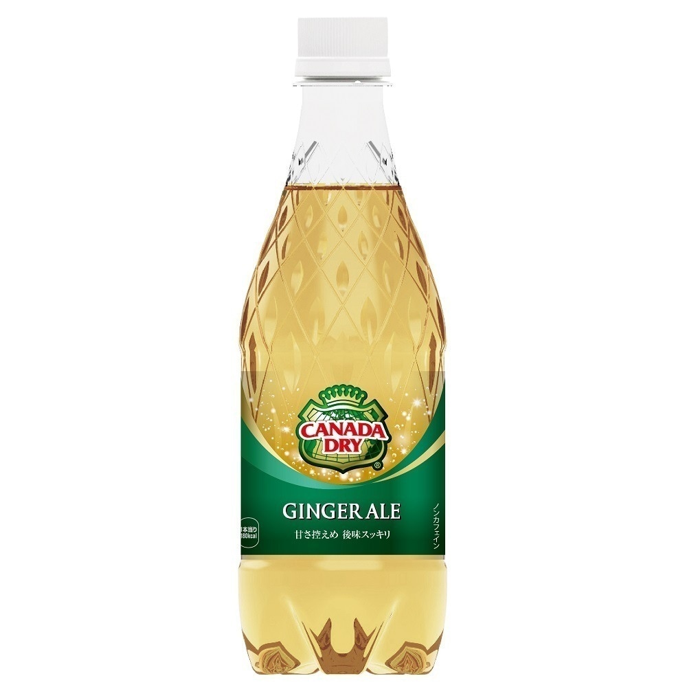 カナダドライ ジンジャーエール 500ml 48本 （24本入2ケース）