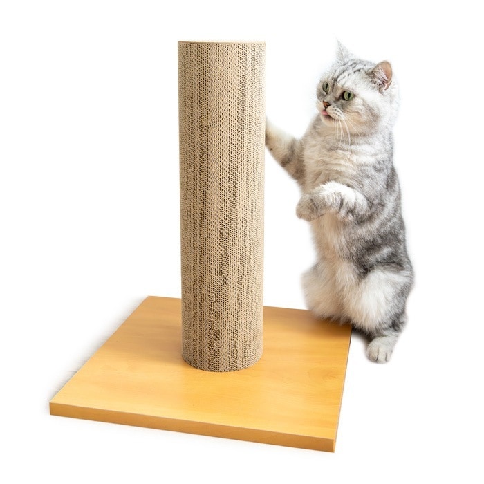 スクラッチポール 本体 P-4981528611069 猫用 爪とぎ