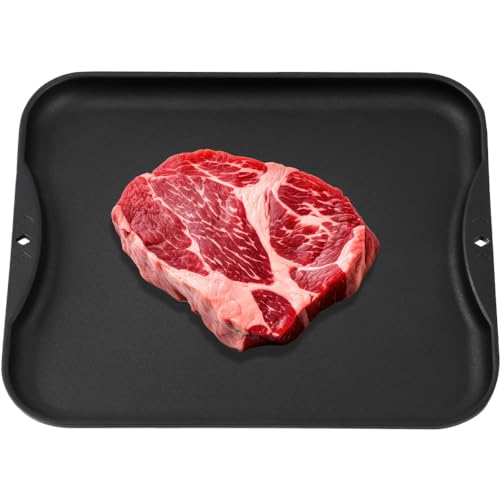 【 日本製 】 解凍プレート 解凍皿 [ IWANO ] 解凍時間を劇的に短縮 急速解凍 & 旨味も逃さない あら熱取りもできる コンパクトサイズ [一発解凍]プレート フッ素樹脂加工(汚れにくく洗い