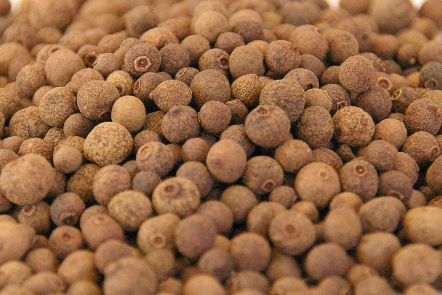 4064/【voxspice】【業務用】オーガニック オールスパイス 500g グアテマラ産 JAS 有機栽培 スパイス/香辛料