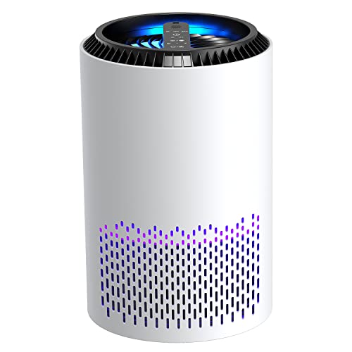 BREEZOME 空気清浄機 【2023新版】10畳対応 軽量 小型 【50-60Hz 全国対応】 花粉対策 卓上 hepaフィルター 除菌 脱臭 集じん 静音 お手入れやすい タイマー機能 省エネ