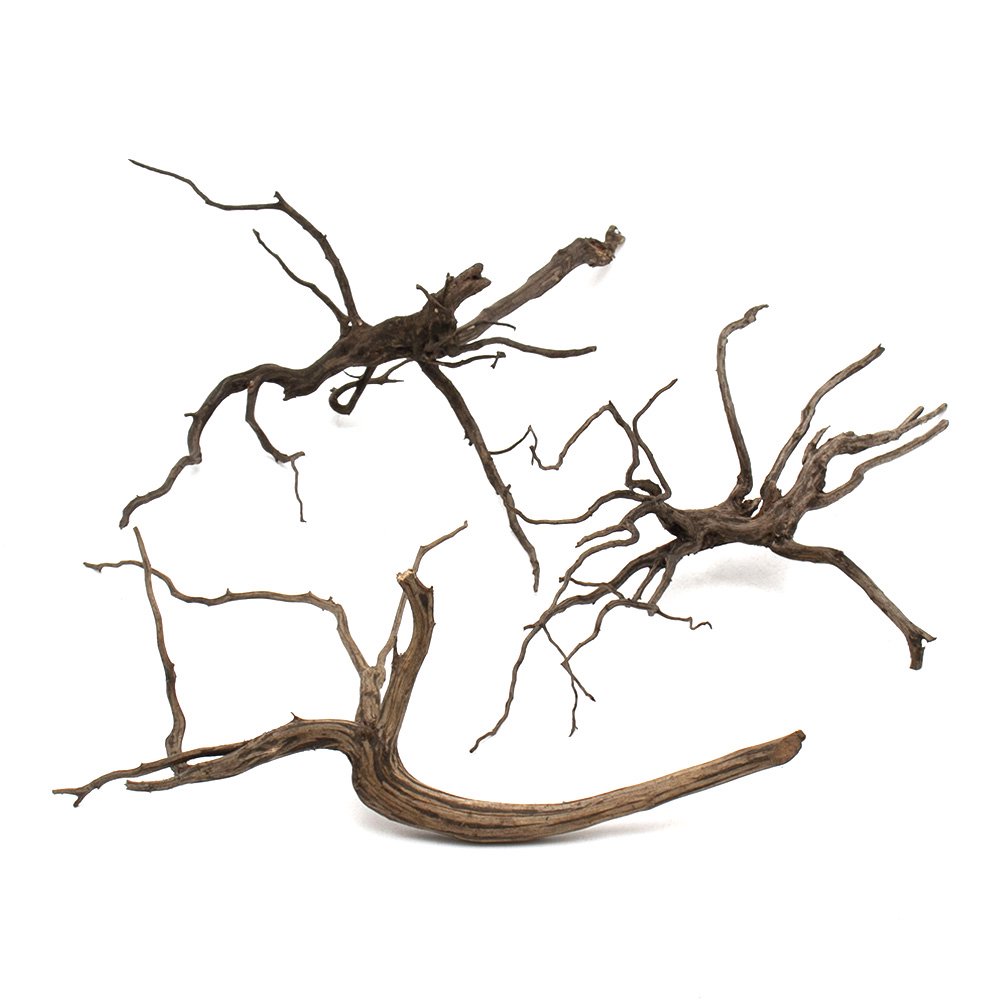 形状お任せ　煮込み済み　スパークウッド　ＸＬサイズ（約４０ー５０ｃ　ｍ）３本　レイアウト素材　枝状流木　ＣＲＣ21―10―40―30―00 5,305円