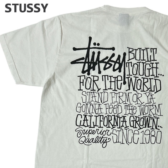 ステューシー STUSSY CALIFORNIA GROWN PIG.DYED TEE ピグメント ダイ 200-009428-036