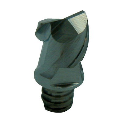 モリシマイ ヘラクレス 標本 115ミリ 【公式通販】